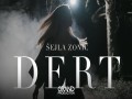 Dert
