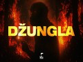 Džungla
