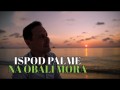 Ispod Palme Na Obali Mora