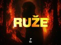 Ruže