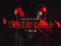 Testarossa