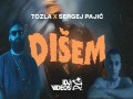 Disem