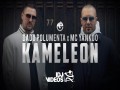 Kameleon