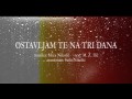 Ostavljam Te Na Tri Dana