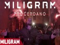 Procerdano