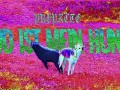 Wo Ist Mein Hund