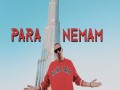 Paranemam
