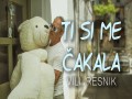 Ti Si Me Čakala
