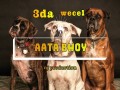 3Da Wecel