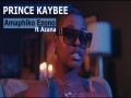 Amaphiko Ezono
