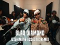 Izishimane Acoustic Remix