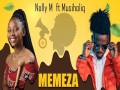 Memeza
