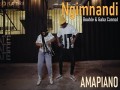 Ngimnandi
