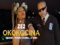 Okokgcina