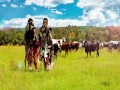 Umaphusheni