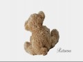 Teddy Bear Returns