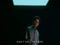 Can’t Fall In Love
