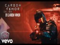 Carbon Armor