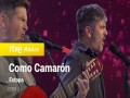 Como Camarón