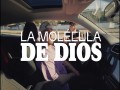 La Molécula De Dios