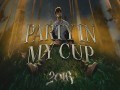 Party In My Cup