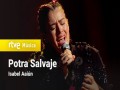 Potra Salvaje