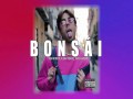 Bonsái