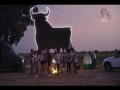 El Toro Y La Luna