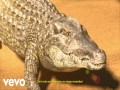 Lágrimas De Cocodrilo
