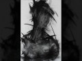 Obsidiana