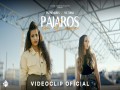 Pájaros En El Aire