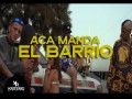 Perro Primo