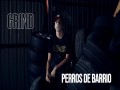 Perros De Barrio