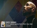 Punto Y Seguido
