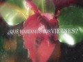 Qué Haríamos Los Viernes