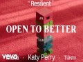 Resilient (Tiësto Remix)