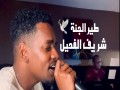 Tayeer Al Janah