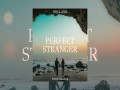Perfect Stranger