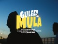 Mula