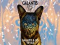 Pillow Fight (Galantis & Cid Vip Mix)