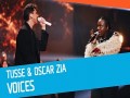 Voices