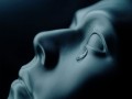 Your Body