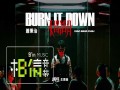 Burn It Down