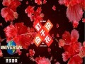 Ding Zi Hua