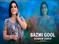 Bazmi Gool
