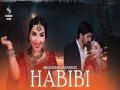 Habibi