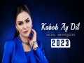 Kabab Ay Dil