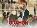 Odamon