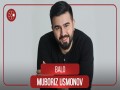 Balo