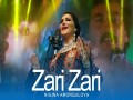 Zari Zari
